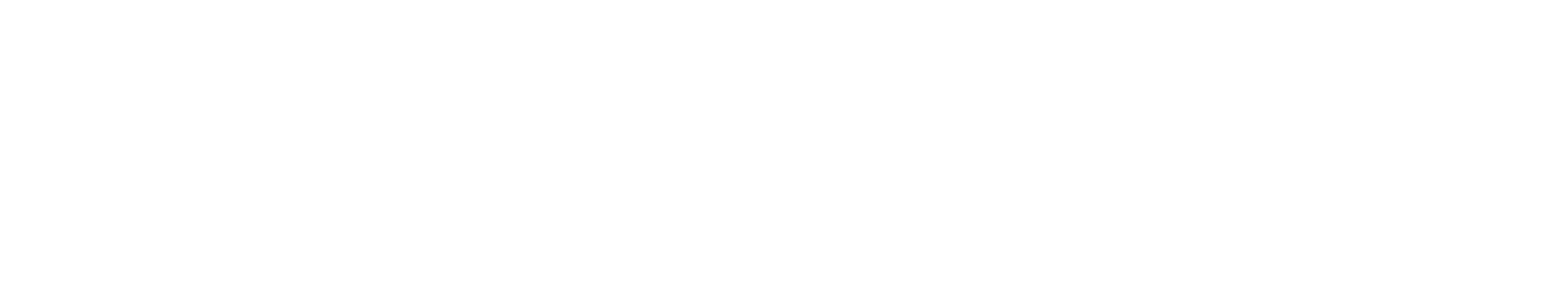 Dra. Zaida Nasif